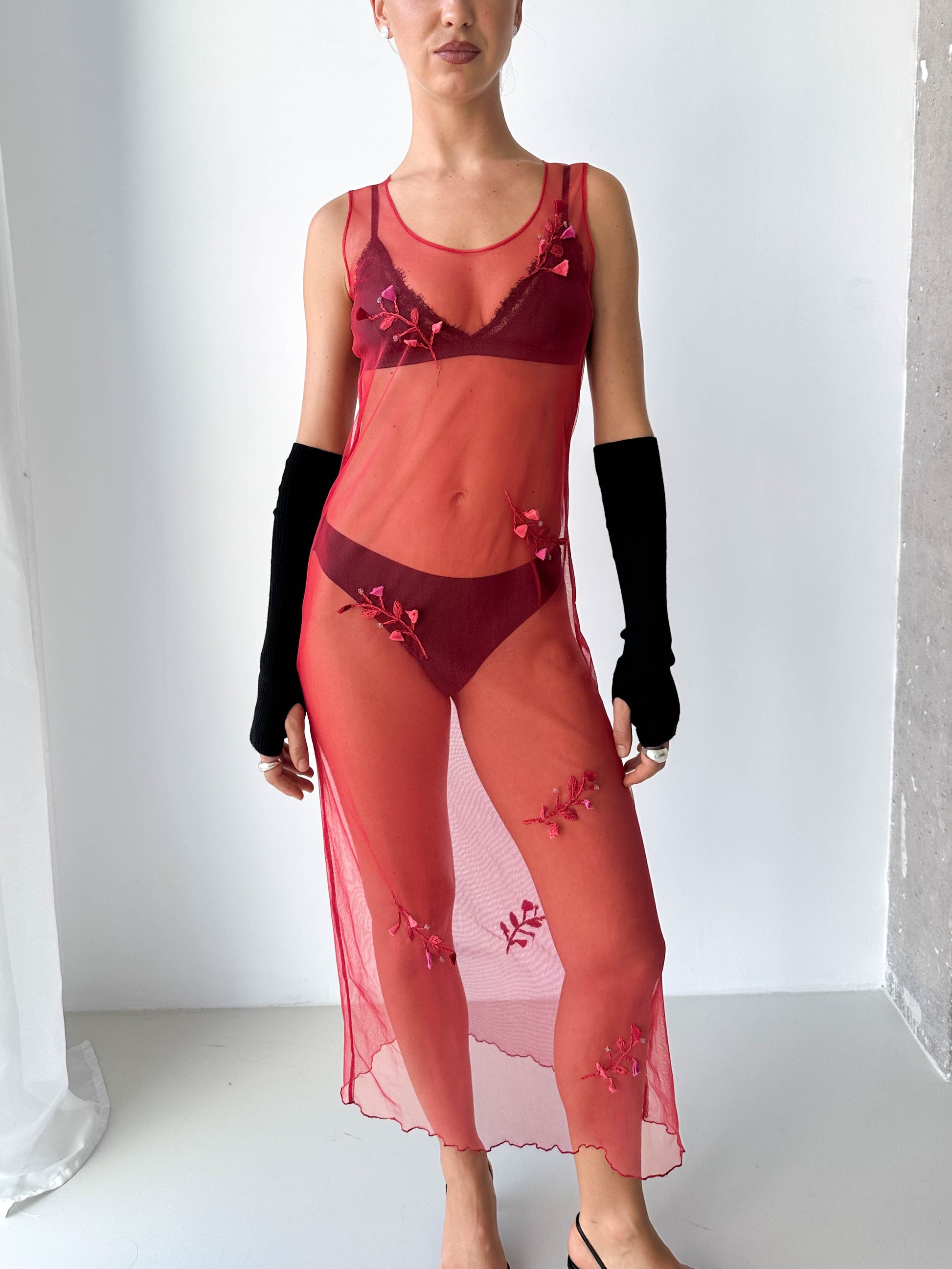 Sheer Mesh Embroidered Dress