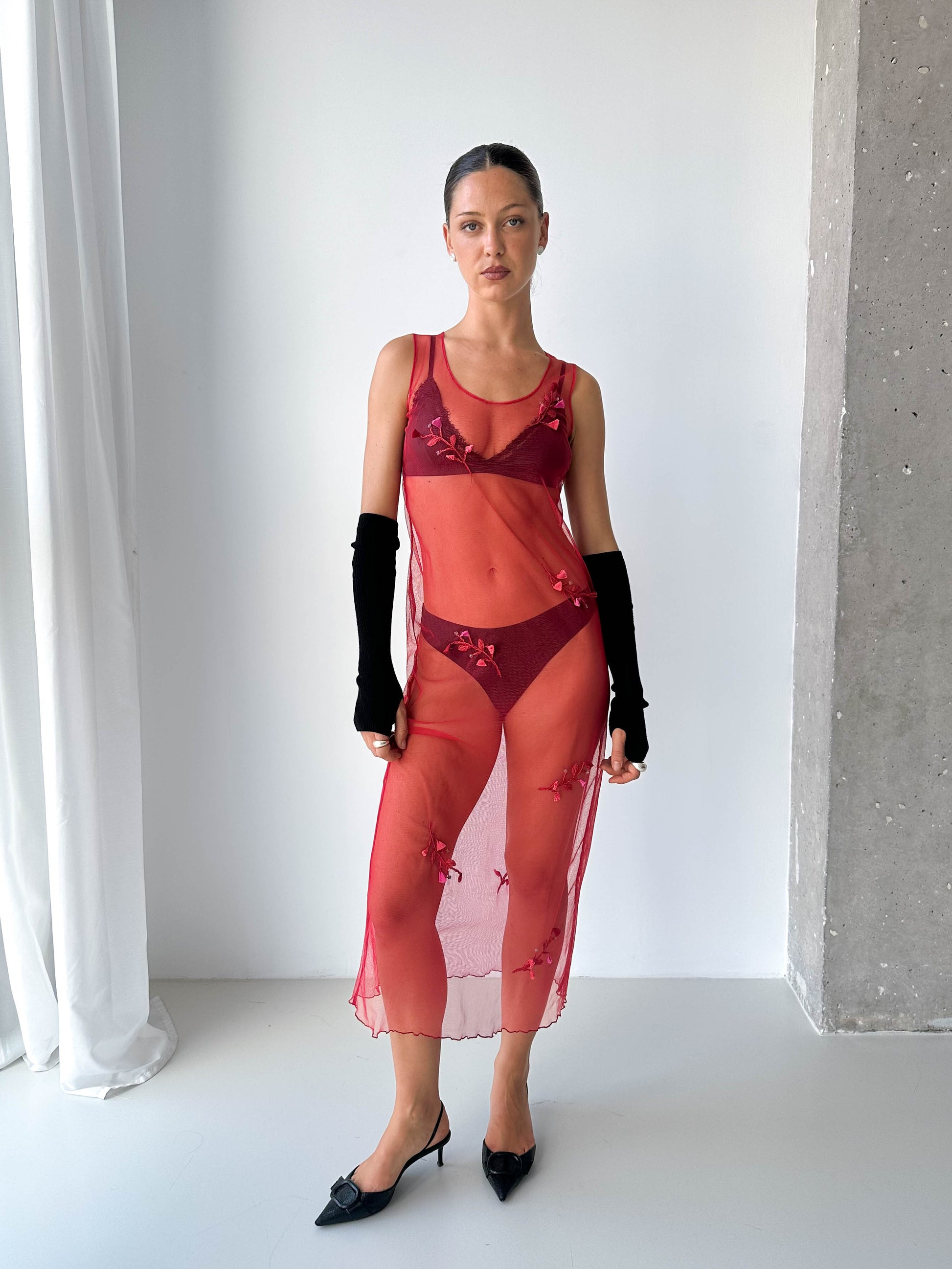 Sheer Mesh Embroidered Dress