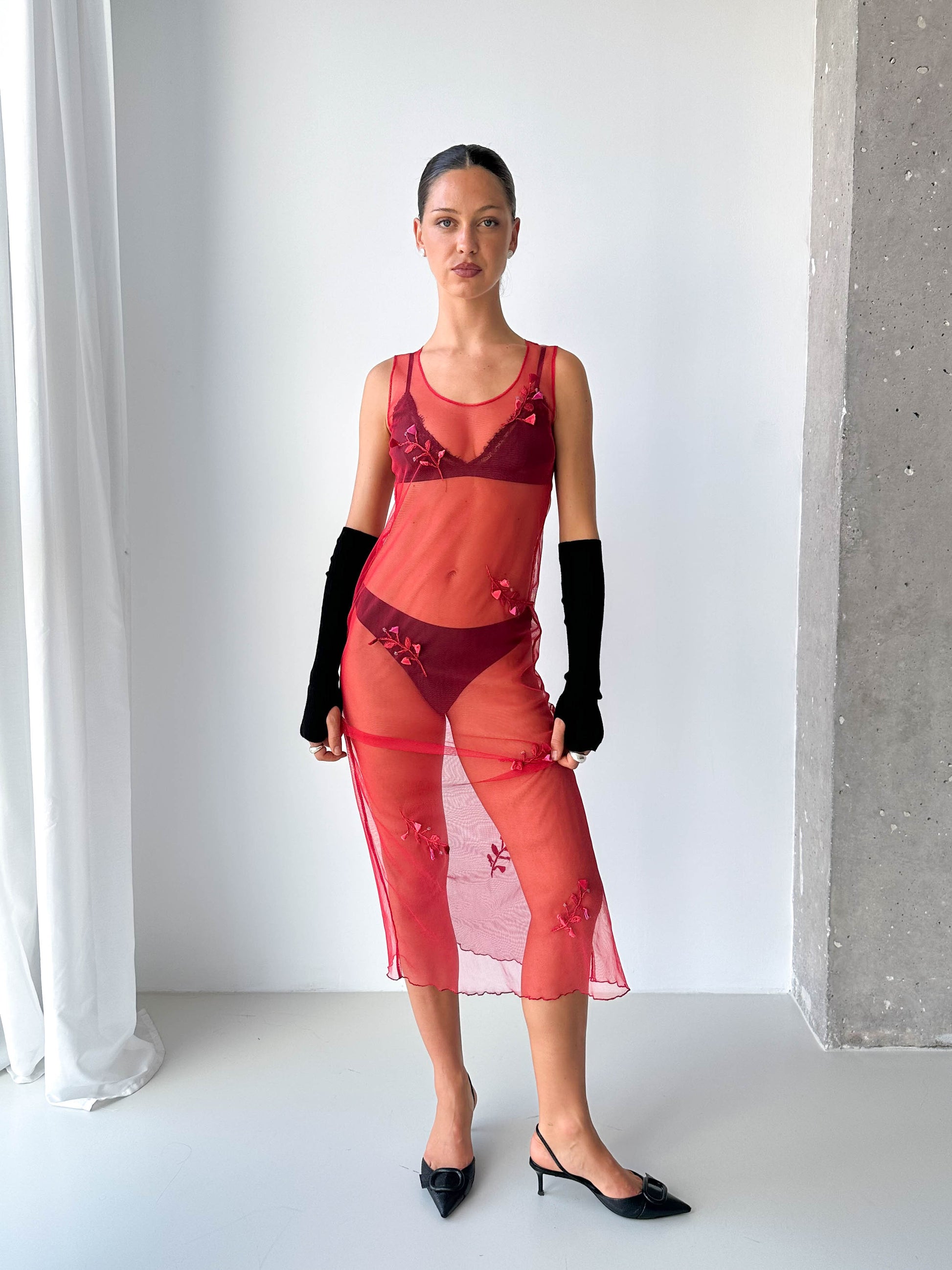 Sheer Mesh Embroidered Dress